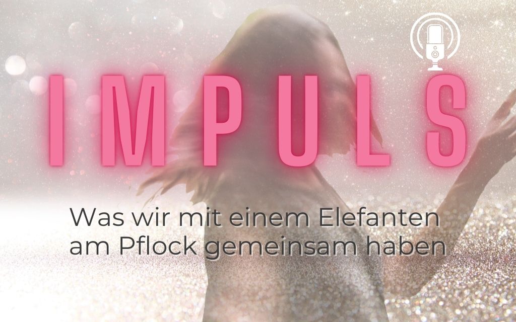 Festhalten am Alt-Bekannten