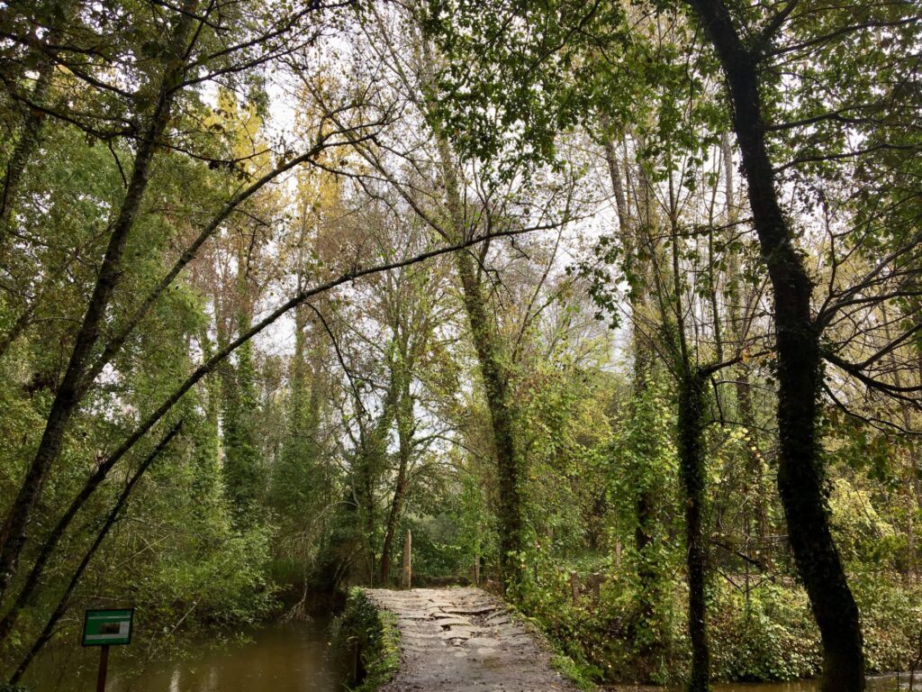 15.10.2019 – Camino Portugués 6. Tag