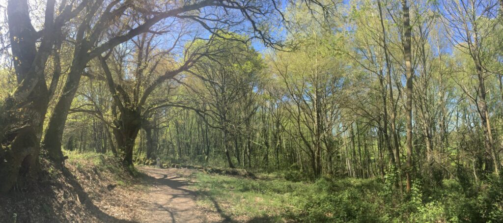 04.05.2018 – Camino Primitivo 8. Tag