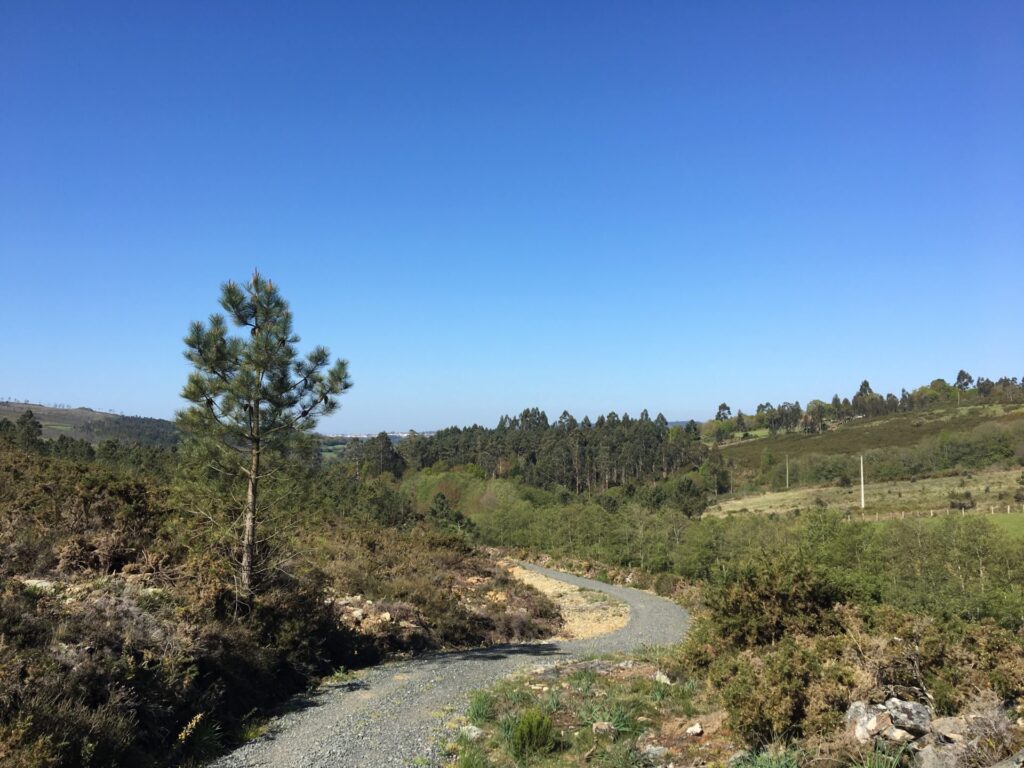 05.05.2018 – Camino Primitivo 9. Tag