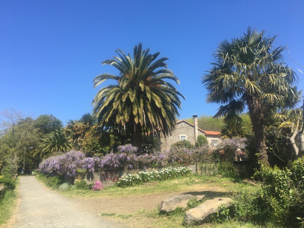 06.05.2018 – Camino Primitivo 10.Tag