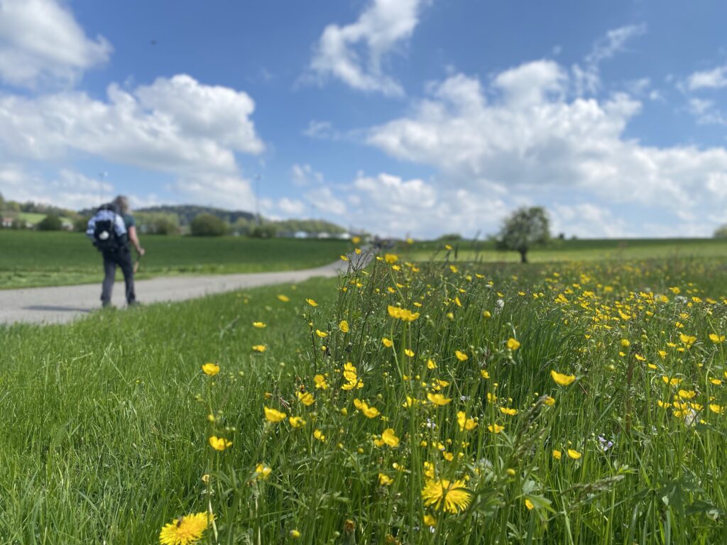 03.05.2023 – Schweizer Jakobsweg 2. Tag