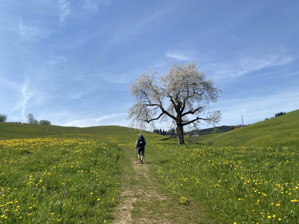05.05.2023 – Schweizer Jakobsweg 4. Tag