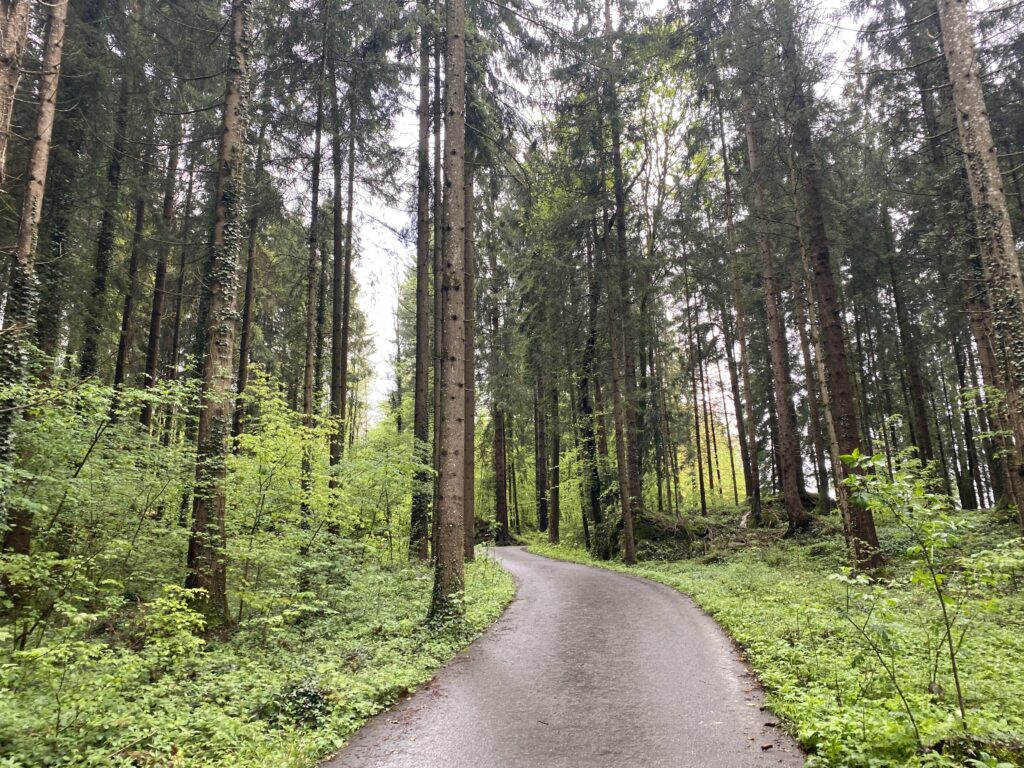 08.05.2023 – Schweizer Jakobsweg 7. Tag