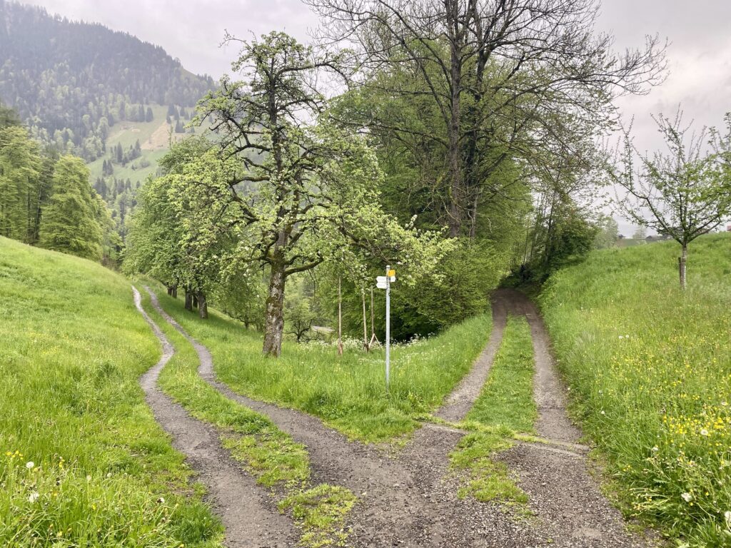 21.05.2023 – Schweizer Jakobsweg 20. Tag Heimreise & Fazit