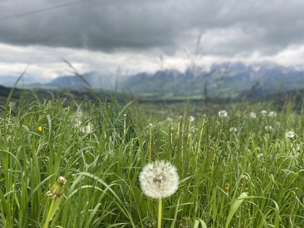 13.05.2023 – Schweizer Jakobsweg 12. Tag