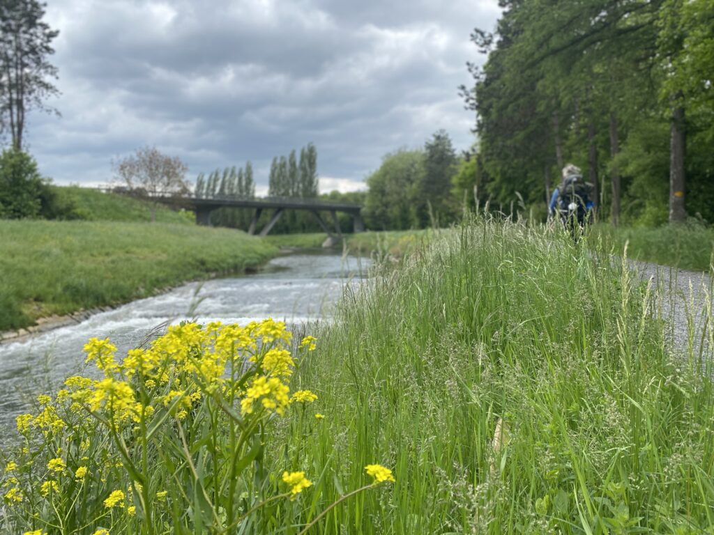 17.05.2023 – Schweizer Jakobsweg 16. Tag