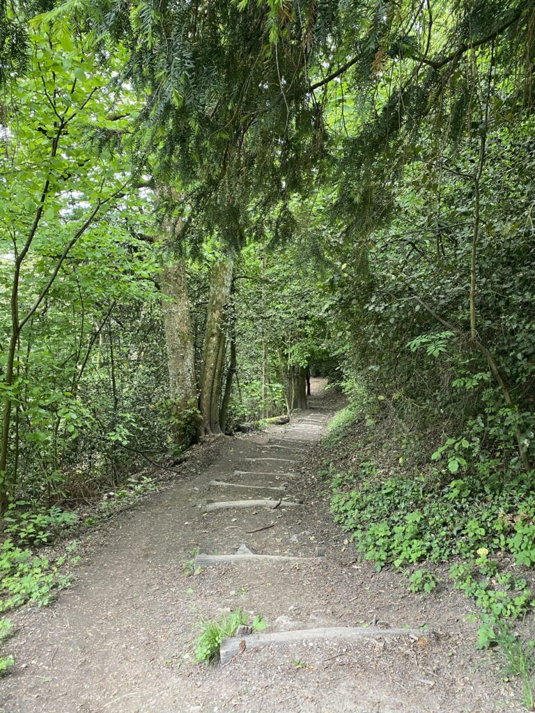 18.05.2023 – Schweizer Jakobsweg 17. Tag