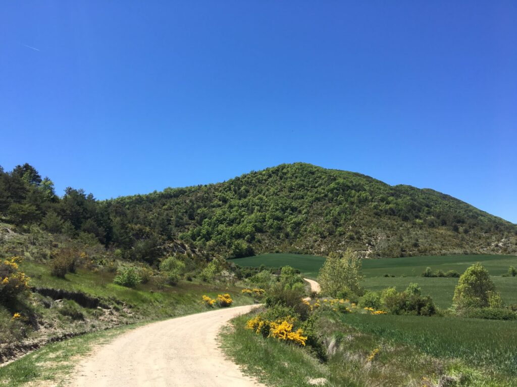26.05.2019 – Fazit und Heimreise