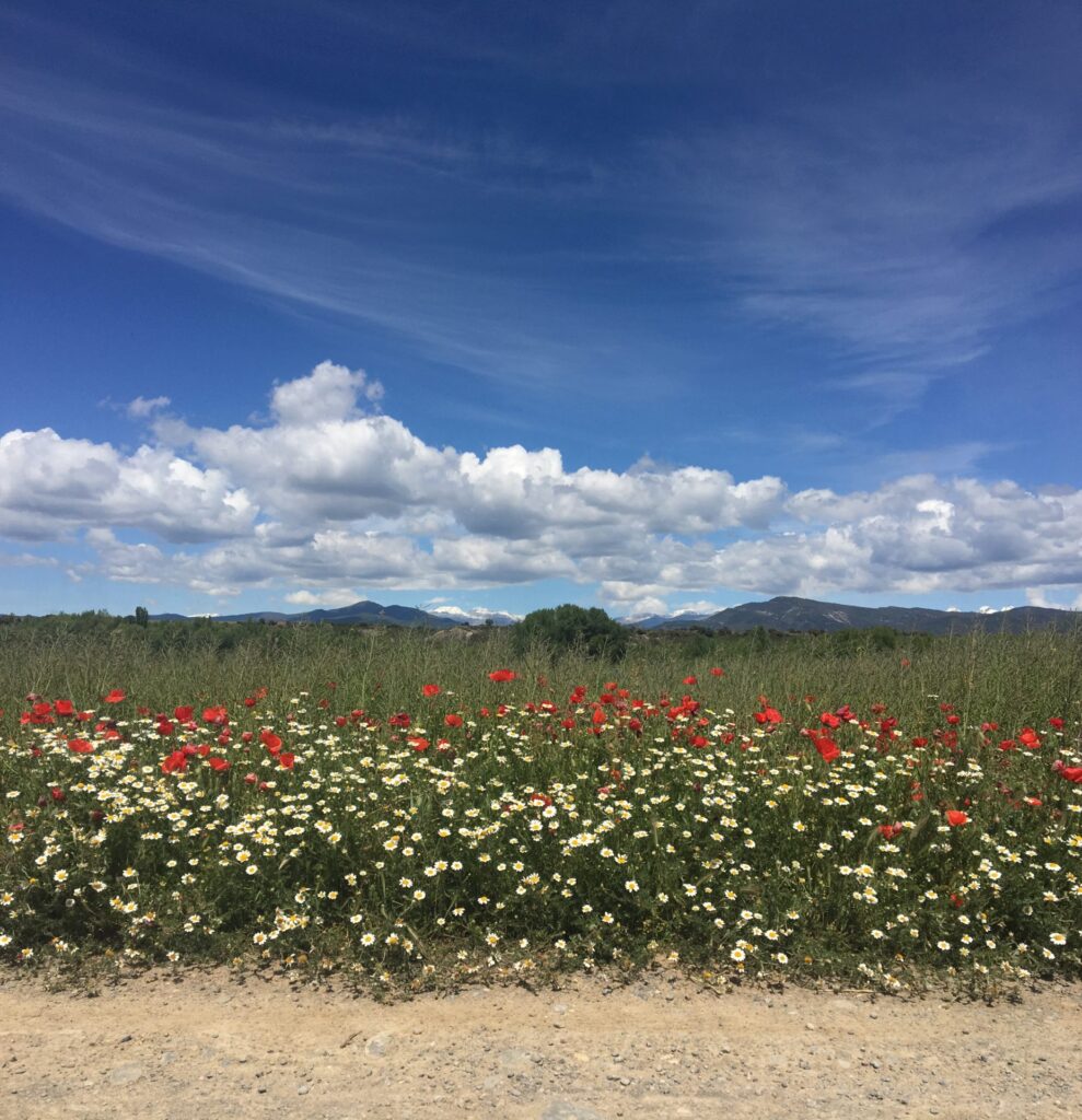 21.05.2019 – Camino Aragonés 3. Tag