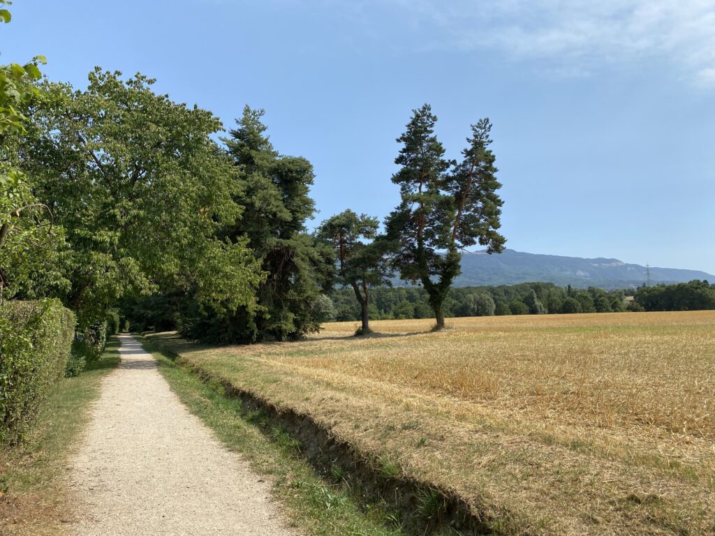 09.07.23 – Via Gebennensis 1. Tag