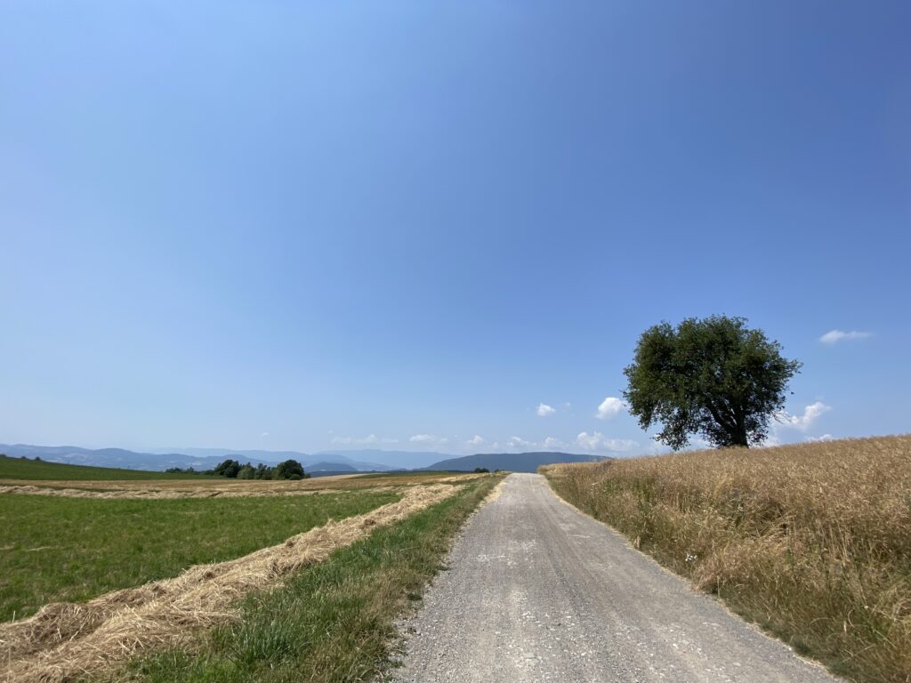 10.07.23 – Via Gebennensis 2. Tag