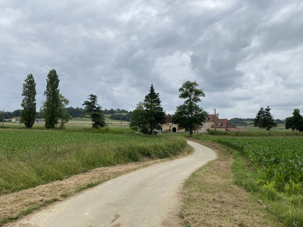 Entscheidungen Raum geben