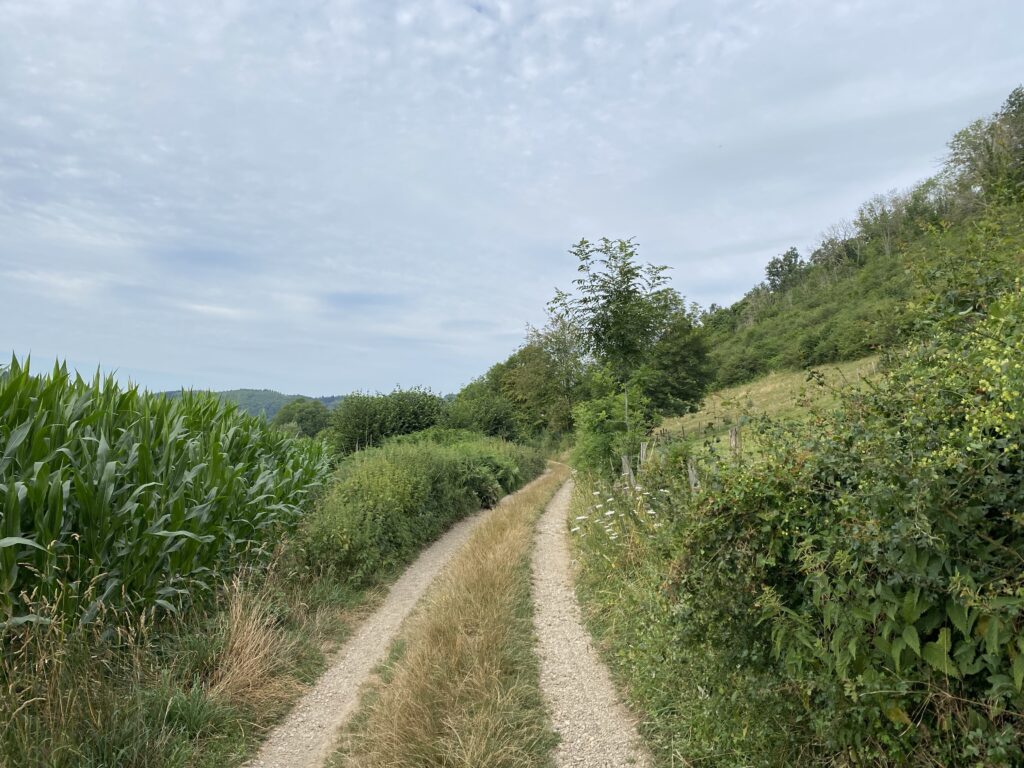 17.07.23 – Via Gebennensis 9. Tag
