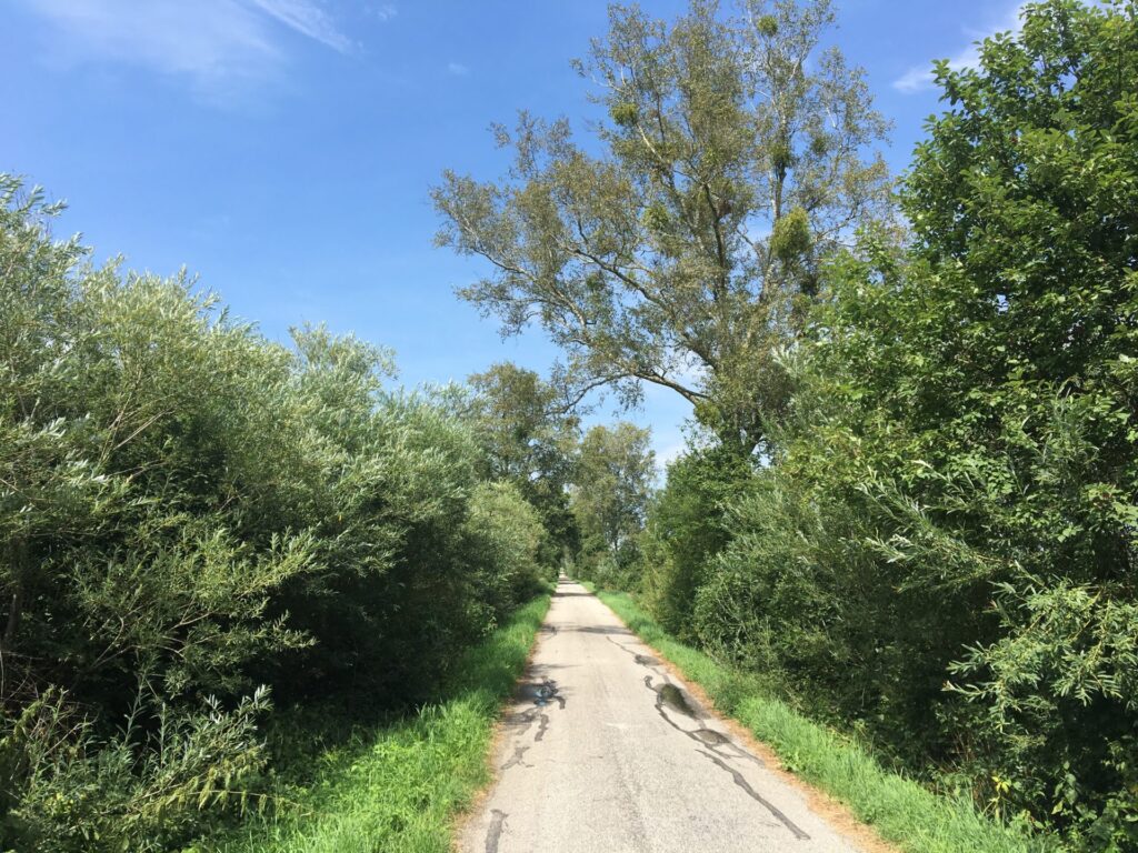 06.08.2019 – Münchner Jakobsweg 2. Tag