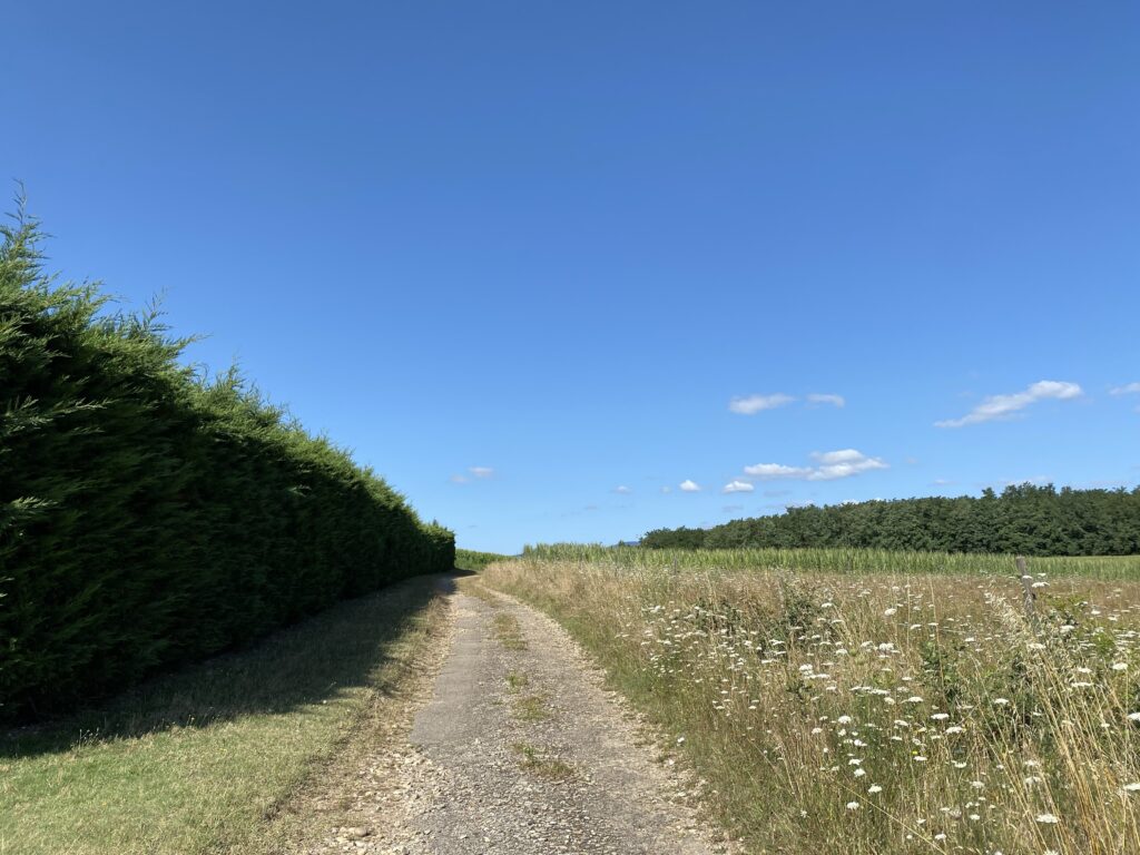 20.07.23 – Via Gebennensis 12. Tag