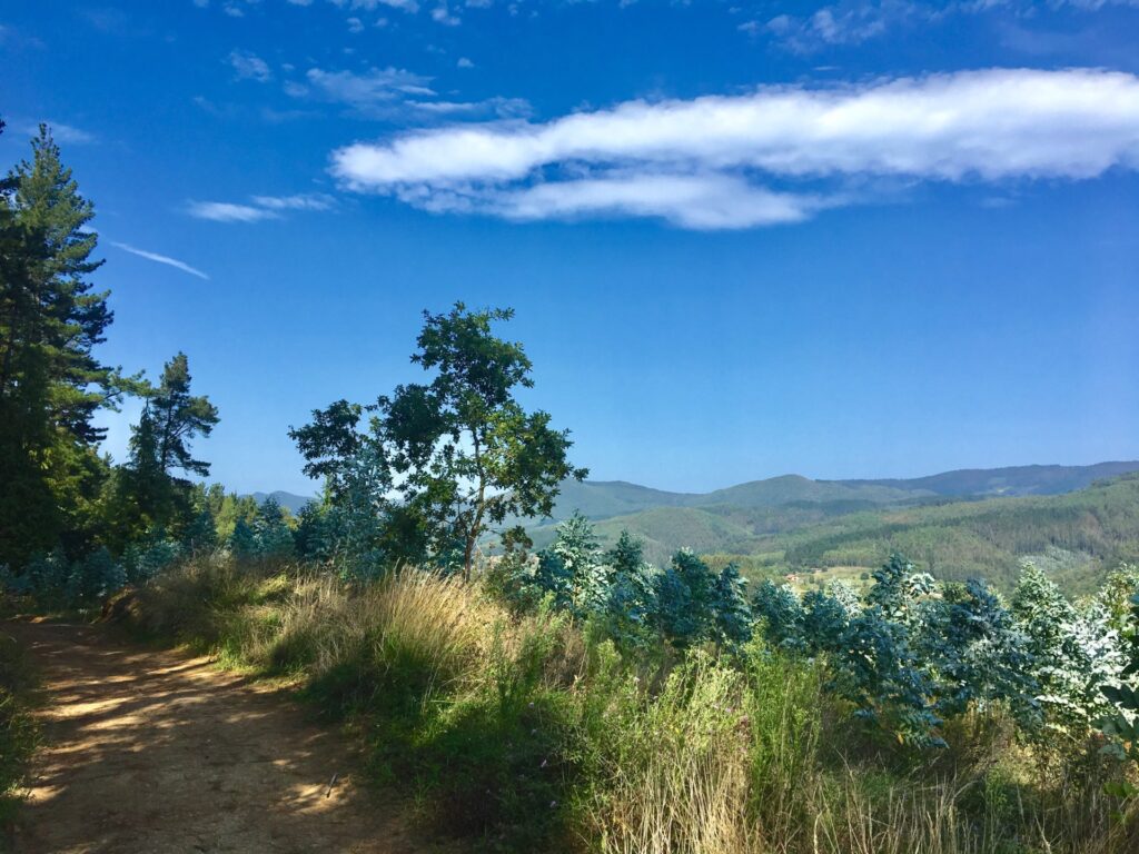 20.09.2019 – Camino del norte 4. Tag