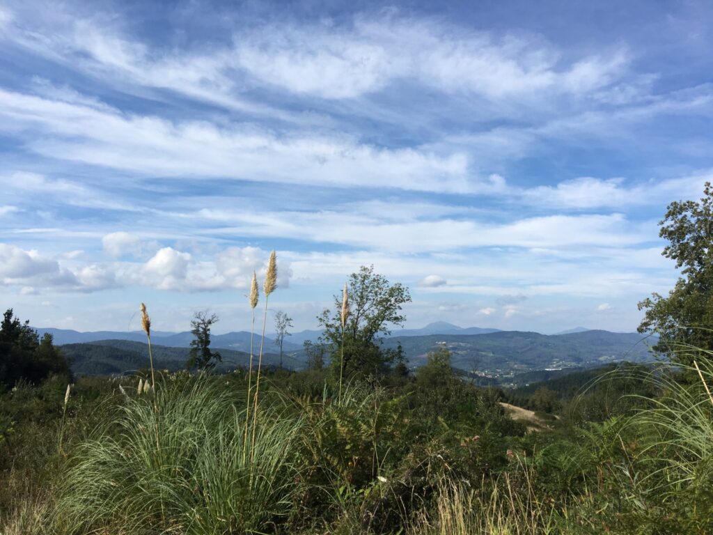 21.09.2019 – Camino del norte 5. Tag