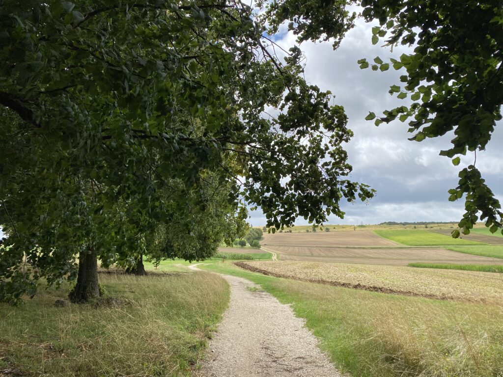 06.08.23 – Oberschwäbischer Jakobsweg 1. Tag/ 25. Lauftag