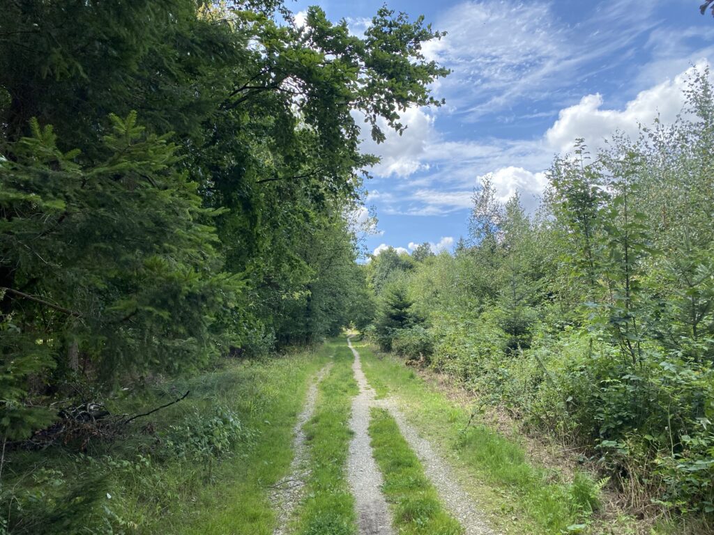 08.08.23 – Oberschwäbischer Jakobsweg 3. Tag/ 27. Lauftag