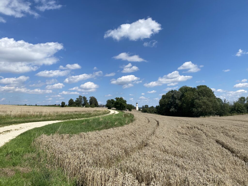 10.08.23 – Oberschwäbischer Jakobsweg 5. Tag/ 29. Lauftag