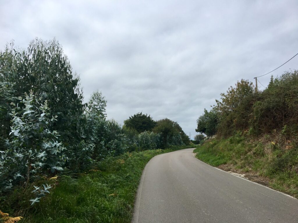 05.10.2019 – Camino del norte 19. Tag
