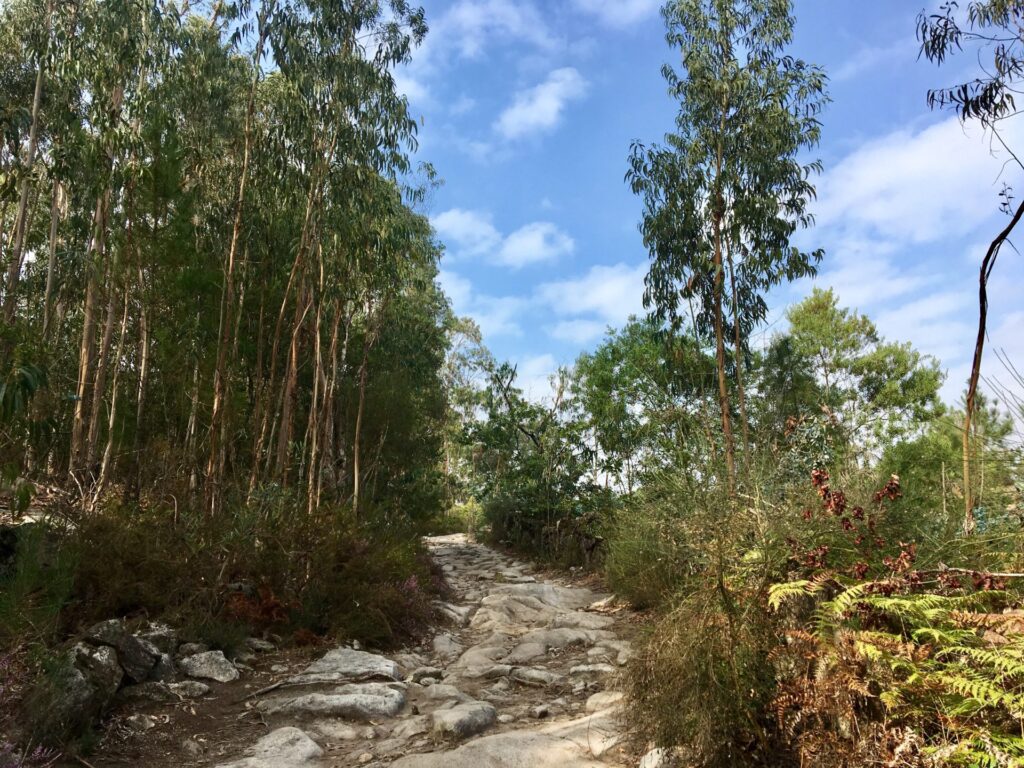 12.10.2019 – Camino Portugués 3. Tag